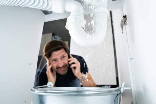 Best Drain Cleaning Services  in Bertville, AL